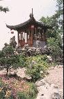 04小鹿的玫瑰花